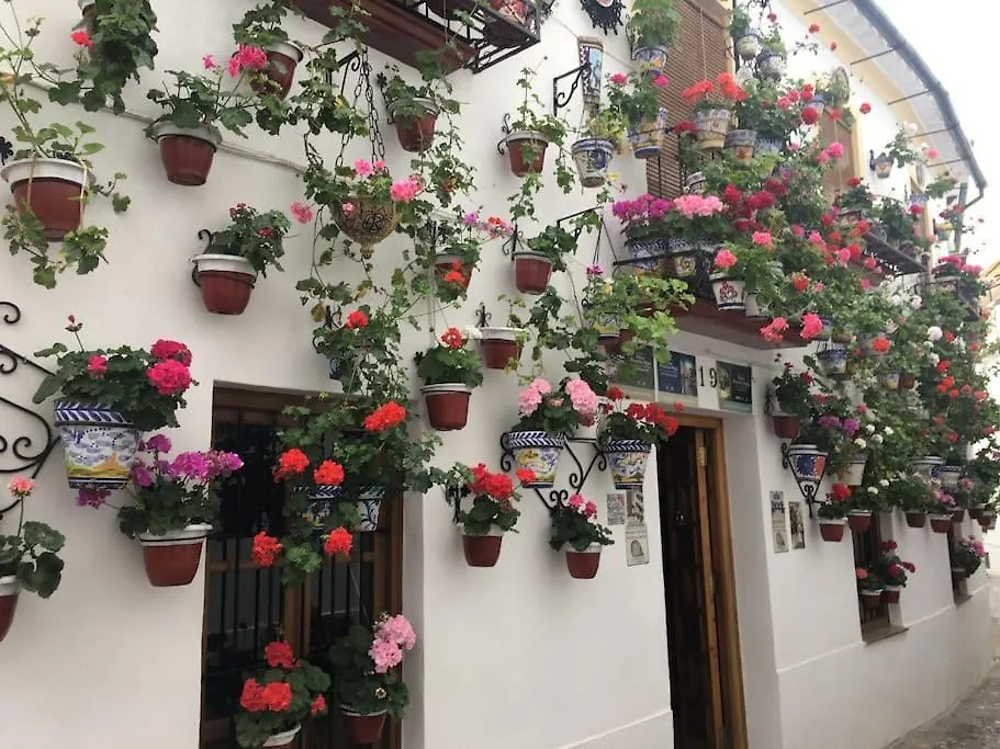 Apartamento El Templo Córdoba España